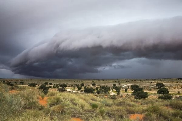 Storm clouds threaten the Kalahari, Kgalagadi Transfrontier Park in summer, Northern Cape, South Africa, Africa