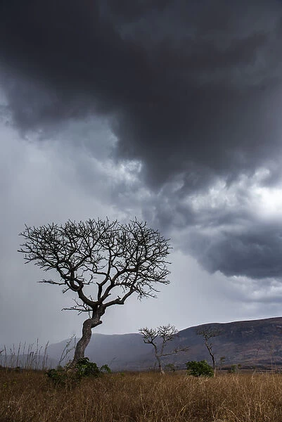 Stormy landscape, Ambalavao, Haute Matsiatra Region, Madagascar