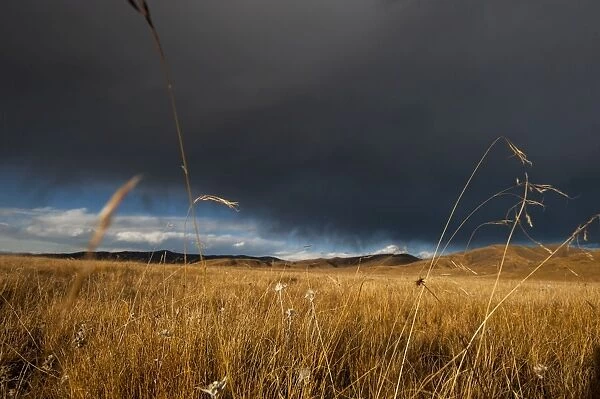Stormy sky over rangelands on the edge of the Tibetan Plateau in Sichuan Province