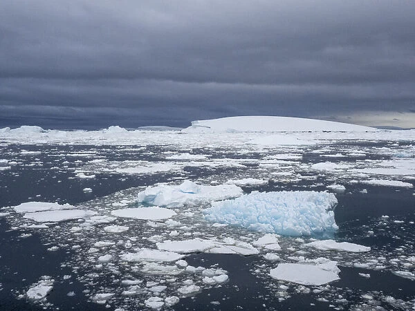 Stormy weather over pack ice and icebergs near Adelaide Island, Antarctica, Polar Regions