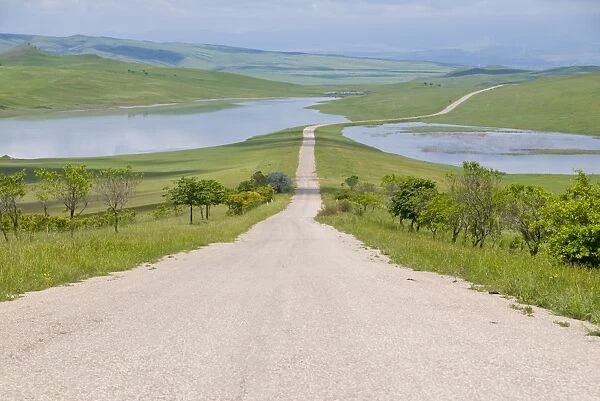 Straight long road in Khaketi, Georgia, Caucasus, Central Asia, Asia