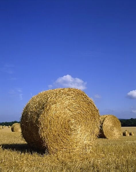 Straw bales in a field after harvesting at Barns Green in Sussex, England