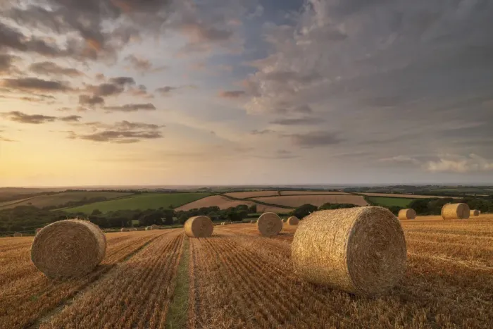 Framed Print : Straw bales at sunset in rural Devon, Livaton, Devon, England, United Kingdom, Europe Framed Print : Straw bales at sunset in rural Devon, Livaton, Devon, England, United Kingdom, Europe
