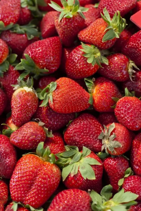 Framed Print : Strawberries for sale at the Sunday morning market, Pollenca, Tramuntana, Mallorca, Balearic Islands, Spain, Europe
