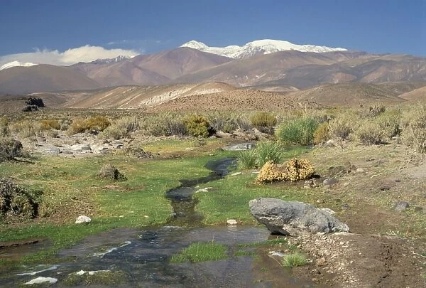 Stream in the Atacama Desert with the Andes on the horizon, San Pedro de Atacama region