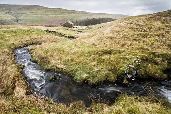 Stream and cottage, above Buckden, Wharfedale, Yorkshire Dales, Yorkshire, England