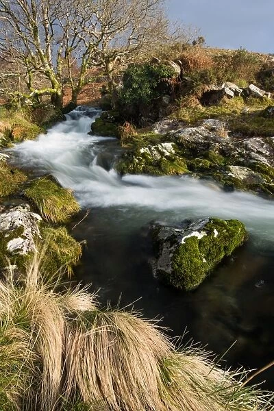 Stream in Croesor Valley, Gwynedd, Wales, United Kingdom, Europe