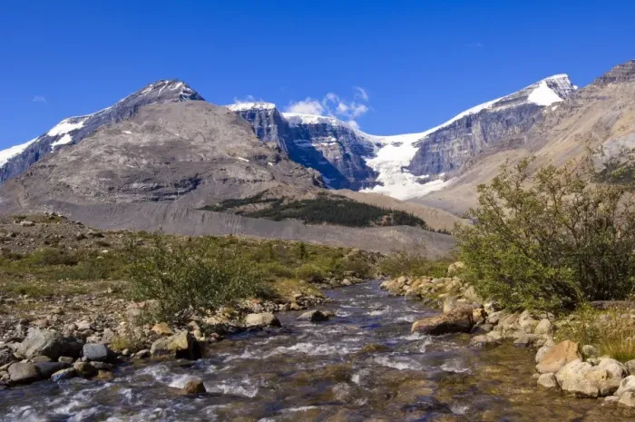 Framed Print : Stream in Jasper National Park, UNESCO World Heritage Site, Alberta, Rocky Mountains