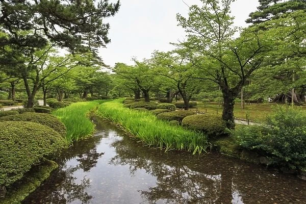 Stream with lush greenery and reflections, Kenrokuen, one of Japans most beautiful