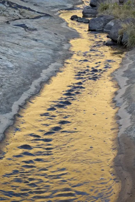 Framed Print : Stream reflecting first light, Grand Staircase-Escalante National Monument, Utah, United States of America, North America Framed Print : Stream reflecting first light, Grand Staircase-Escalante National Monument, Utah, United States of America, North America