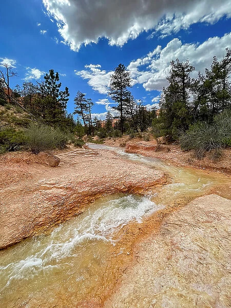 A stream running through the Mossy Cave Trail in Bryce Canyon National Park, Utah, United States of America, North America