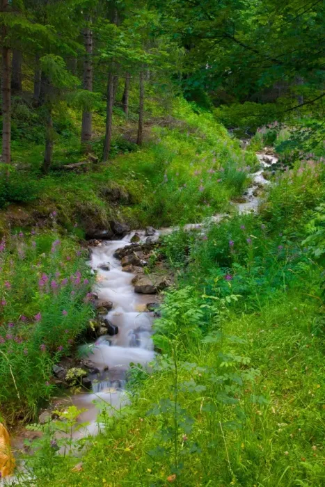 Framed Print : Stream, Vigo di Fassa, Fassa Valley, Trento Province, Trentino-Alto Adige  /  South Tyrol, Italian Dolomites, Italy, Europe