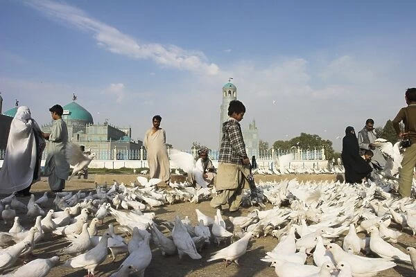 Street boy walks amongst the famous white pigeons, Shrine of Hazrat Ali
