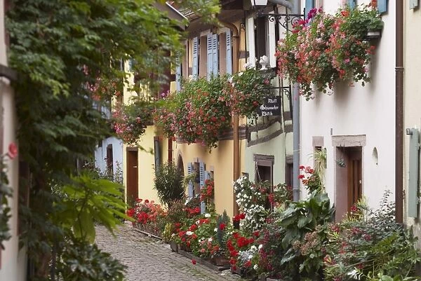 Street in the heritage village of Eguisheim, Alsatian Wine Road, Haut Rhin