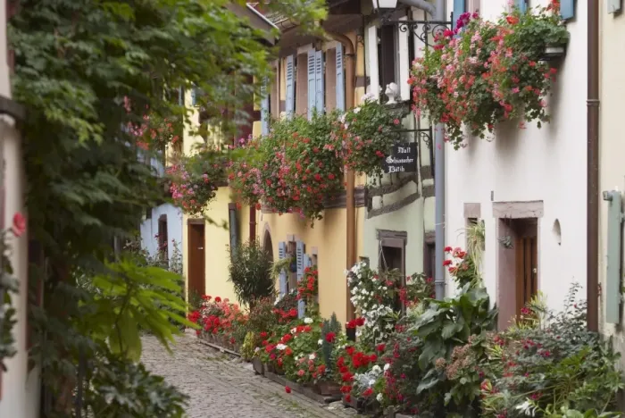 Framed Print : Street in the heritage village of Eguisheim, Alsatian Wine Road, Haut Rhin Framed Print : Street in the heritage village of Eguisheim, Alsatian Wine Road, Haut Rhin