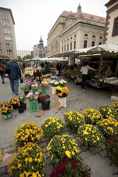 Street market, Leipzig, Saxony, Germany, Europe
