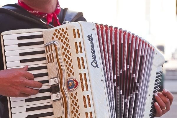 A street musician plays the accordion, Lyon, Rhone, Rhone-Alpes, France, Europe
