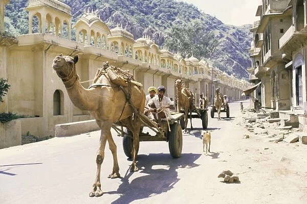 Street scene with camel cart