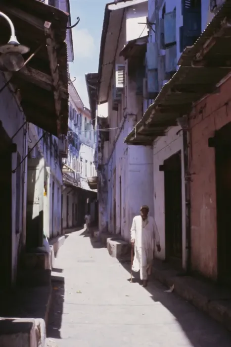 Framed Print : Street scene, Zanzibar, Tanzania, East Africa, Africa