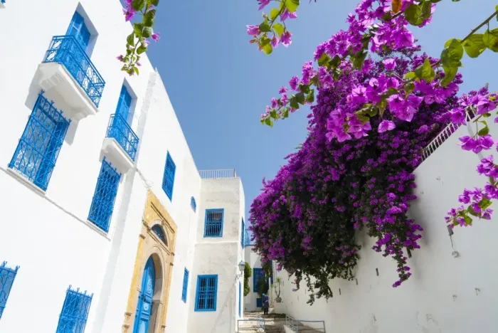 Framed Print : Street, Sidi Bou said, Tunisia, North Africa, Africa Framed Print : Street, Sidi Bou said, Tunisia, North Africa, Africa
