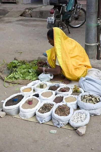 Street spice seller in yellow sari, Jaipur, Rajasthan, India, Asia