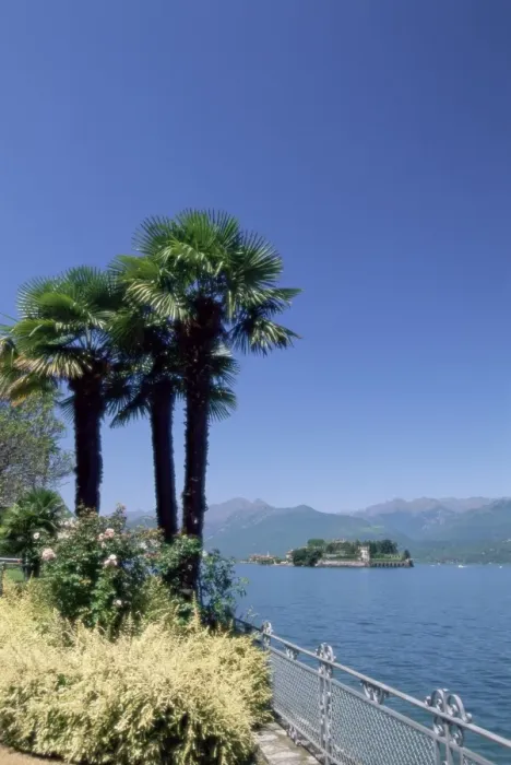 Framed Print : Stresa, with Isola Bella in background Framed Print : Stresa, with Isola Bella in background