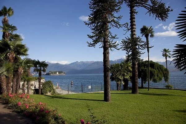 Stresa, Lake Maggiore, Italian Lakes, Piedmont, Italy, Europe