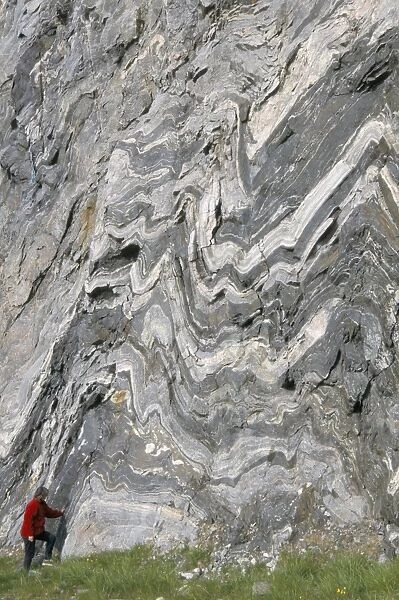 Strong folding in garnet gneiss