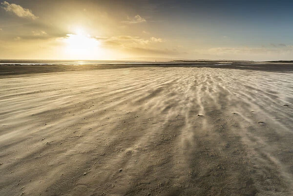 Strong winds on Camber Sands beach, East Sussex, England, United Kingdom, Europe