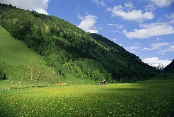 Stubachtal Valley, Hohe Tauern National Park, Salzburgland, Austrian Alps