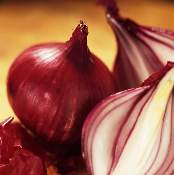 Studio shot of red onions