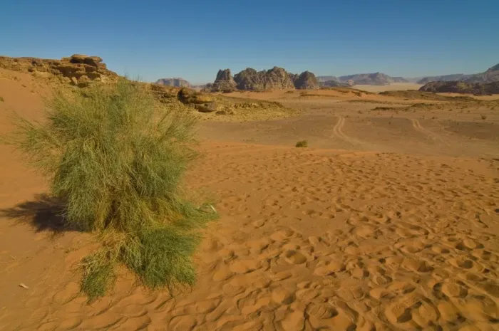 Framed Print : The stunning desert scenery of Wadi Rum, Jordan, Middle East Framed Print : The stunning desert scenery of Wadi Rum, Jordan, Middle East