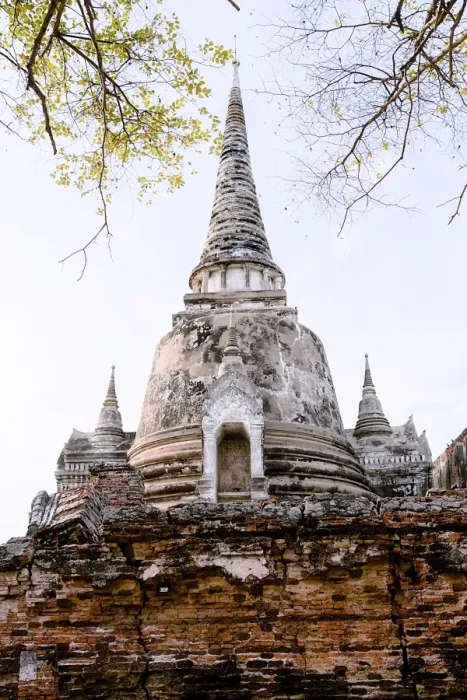 Framed Print : Stupa (Chedi) at Wat Mahathat, Ayutthaya, UNESCO World Heritage Site, Thailand, Southeast Asia Framed Print : Stupa (Chedi) at Wat Mahathat, Ayutthaya, UNESCO World Heritage Site, Thailand, Southeast Asia