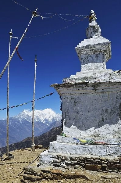 Stupa, Langtang National Park, Bagmati, Central Region (Madhyamanchal), Nepal, Himalayas, Asia