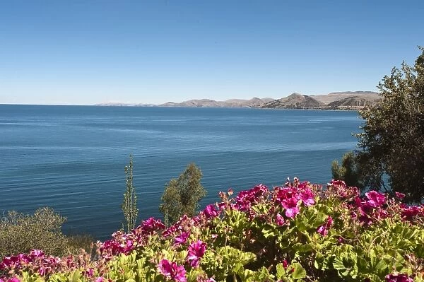 Suasi Island, Lake Titicaca, Peru, South America