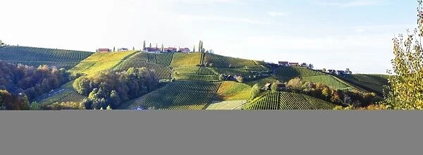 Suedsteirische Weinstrasse, Southern Styria wine route in autumn, Styria, Austria, Europe