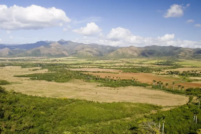 Framed Print : Sugar cane fields and the Escambray Mountains, Sancti Spiritus, near Trinidad Framed Print : Sugar cane fields and the Escambray Mountains, Sancti Spiritus, near Trinidad