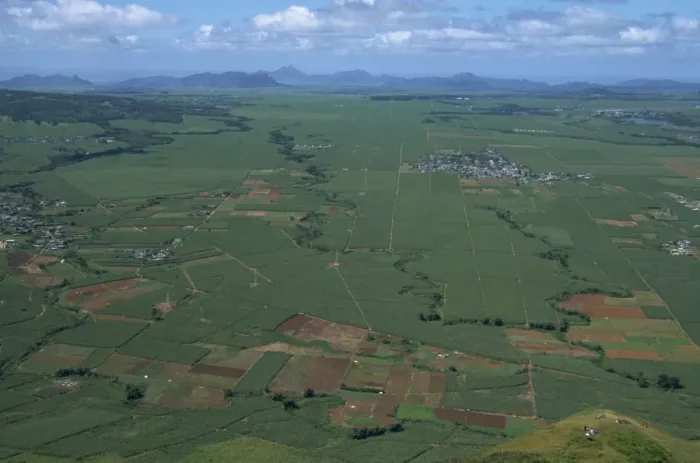 Framed Print : Sugar cane fields from Le Puce peak, Port Louis, Mauritius, Africa Framed Print : Sugar cane fields from Le Puce peak, Port Louis, Mauritius, Africa