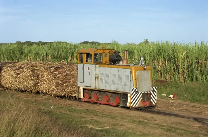 Framed Print : Sugar cane train, west coast lowlands, Viti Levu, Fiji, Pacific Islands, Pacific Framed Print : Sugar cane train, west coast lowlands, Viti Levu, Fiji, Pacific Islands, Pacific