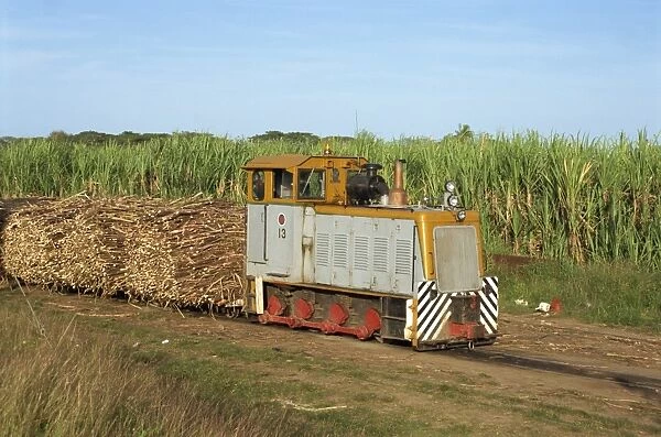 Sugar cane train, west coast lowlands, Viti Levu, Fiji, Pacific Islands, Pacific