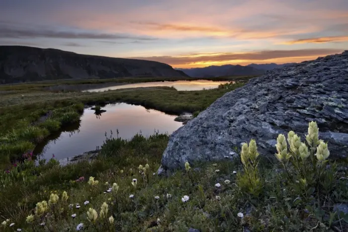 Framed Print : Sulphur Paintbrush and Alpine tarns at dawn, San Juan National Forest, Colorado, United States of America, North America Framed Print : Sulphur Paintbrush and Alpine tarns at dawn, San Juan National Forest, Colorado, United States of America, North America