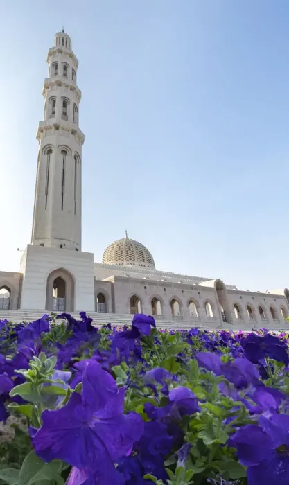 Framed Print : Sultan Qaboos Mosque minaret with violet petunia flowers in the foreground, Muscat, Oman Framed Print : Sultan Qaboos Mosque minaret with violet petunia flowers in the foreground, Muscat, Oman
