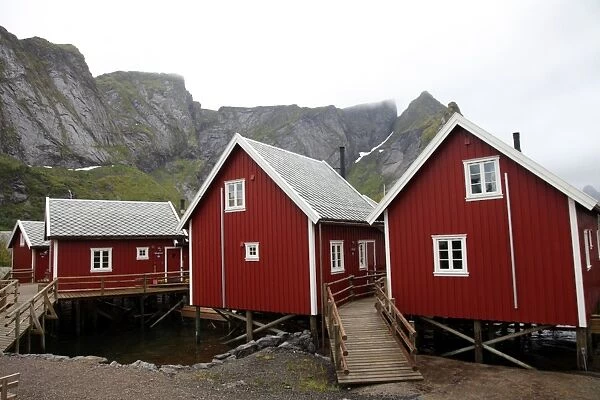 Summer cabins at Reine, Lofoten Islands, Norway, Scandinavia, Europe