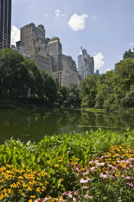 Framed Print : Summer flowers and The Pond, Central Park, Manhattan, New York, United States of America Framed Print : Summer flowers and The Pond, Central Park, Manhattan, New York, United States of America