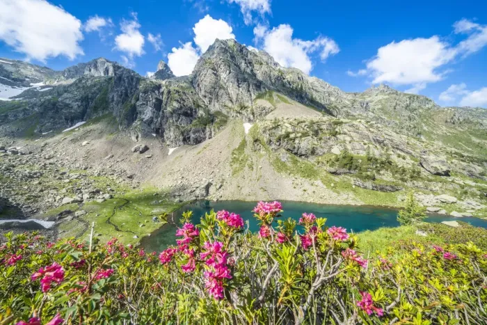 Framed Print : Summer sky over mountain peaks and rhododendrons framing lake Zancone, Orobie Alps Framed Print : Summer sky over mountain peaks and rhododendrons framing lake Zancone, Orobie Alps
