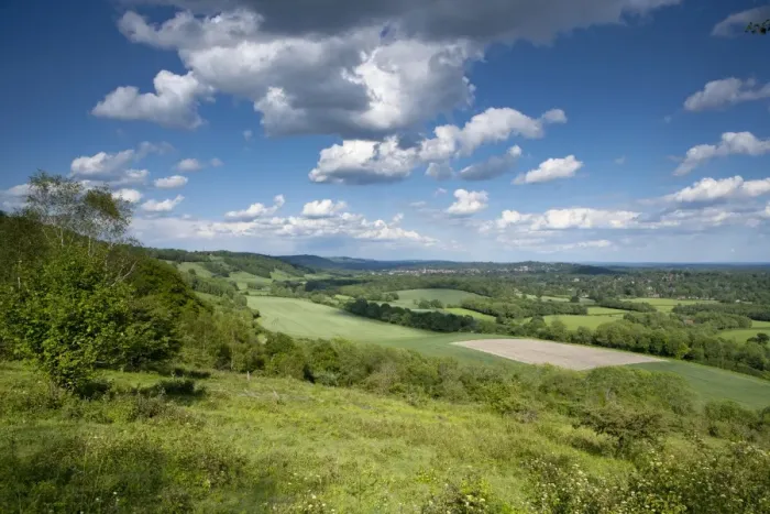 Framed Print : Summer view east along The Surrey Hills, from White Down, Dorking in the distance Framed Print : Summer view east along The Surrey Hills, from White Down, Dorking in the distance