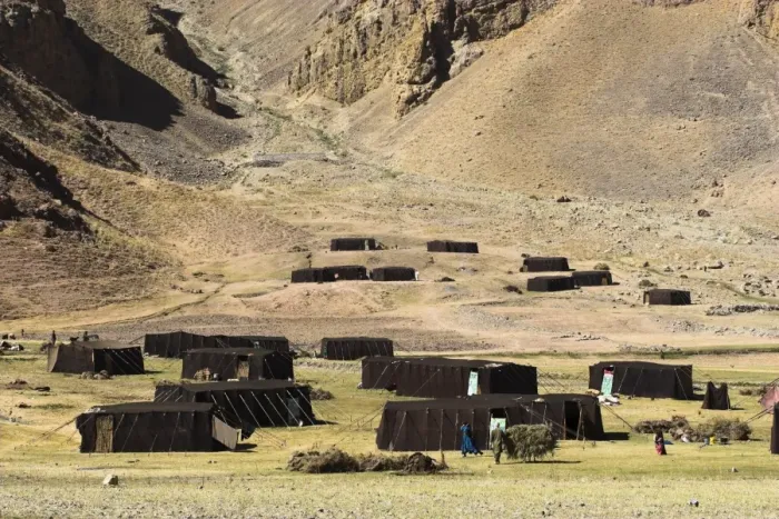 Framed Print : Summer yurts in camp of Aimaq semi-nomads, between Chakhcharan and Jam Framed Print : Summer yurts in camp of Aimaq semi-nomads, between Chakhcharan and Jam