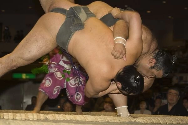 Sumo wrestlers competing