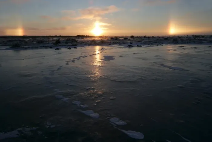 Framed Print : Sun dogs, polar bear tracks, Churchill, Hudson Bay, Manitoba, Canada, North America Framed Print : Sun dogs, polar bear tracks, Churchill, Hudson Bay, Manitoba, Canada, North America