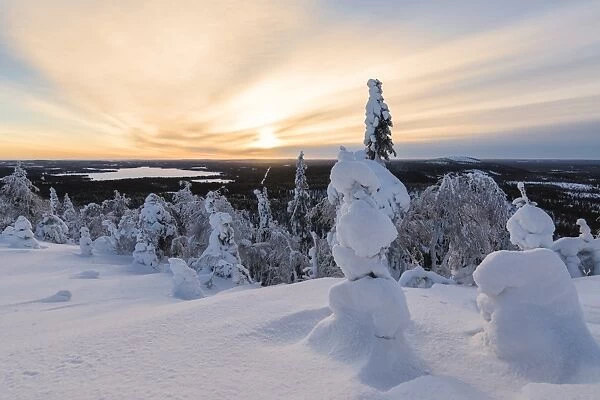 The sun frames the snowy landscape and woods in the cold arctic winter, Ruka, Kuusamo